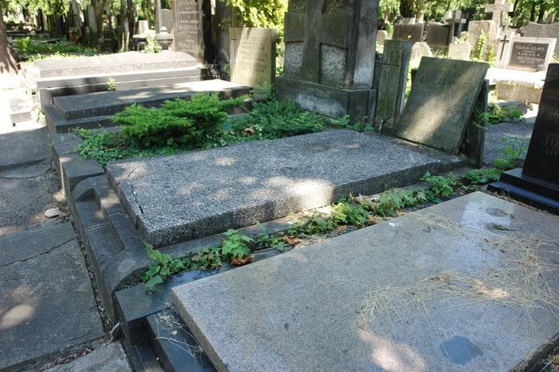 Zdjęcie grobu: Zofia Gutowska