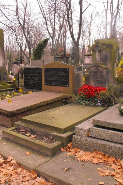 Zdjęcie grobu Antoni Goszczyński (1)