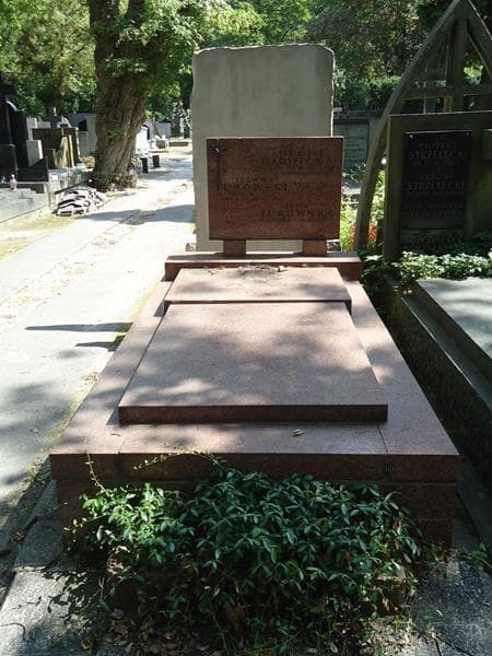 Zdjęcie grobu: Stanisława Barwicka