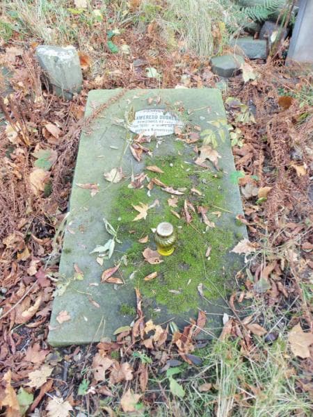 Zdjęcie grobu Ksawery Budny (1)