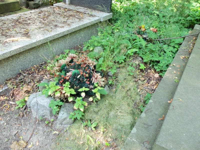 Zdjęcie grobu Anonim (2)