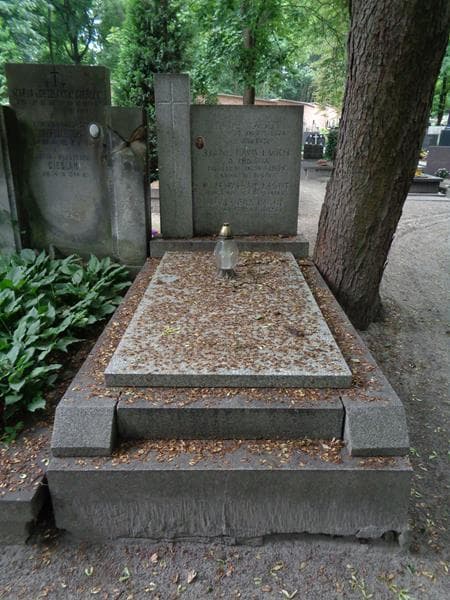 Zdjęcie grobu Feliks Lagut (1)