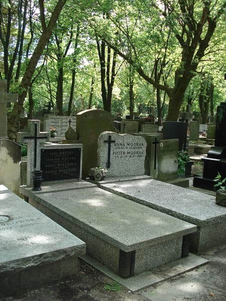 Zdjęcie grobu Tadeusz Oględzki (1)