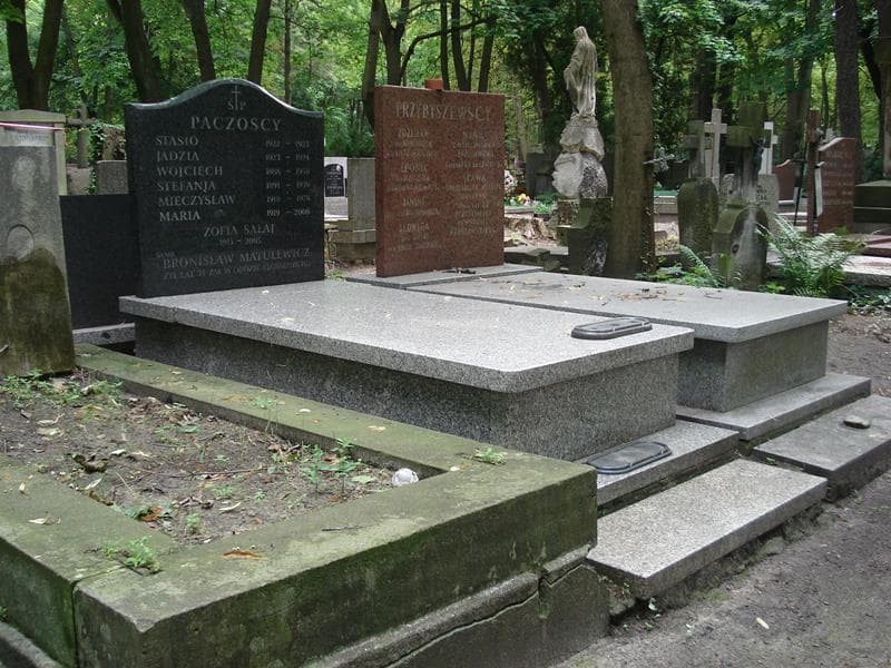 Zdjęcie grobu Zofia Sałaj (1)