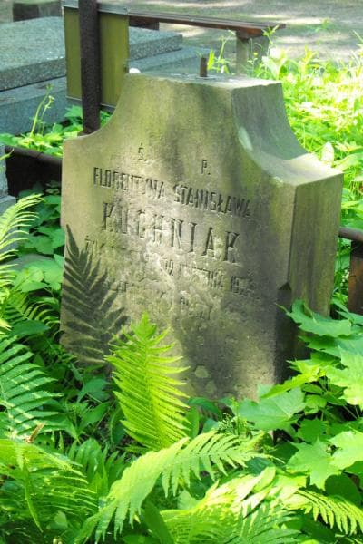 Zdjęcie grobu Florentyna Kuchniak (2)