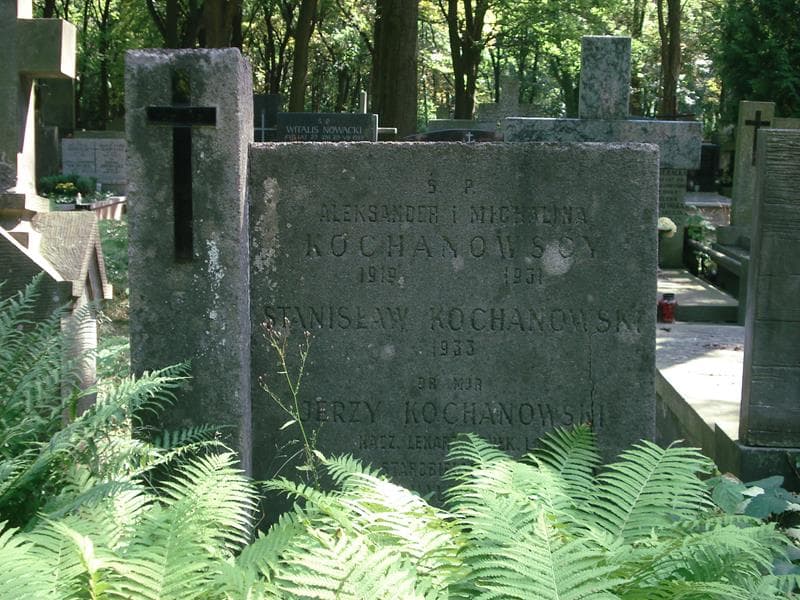 Zdjęcie grobu Michalina Kochanowska (1)