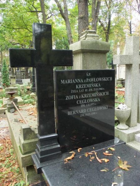 Zdjęcie grobu Bernard Cegłowski (1)