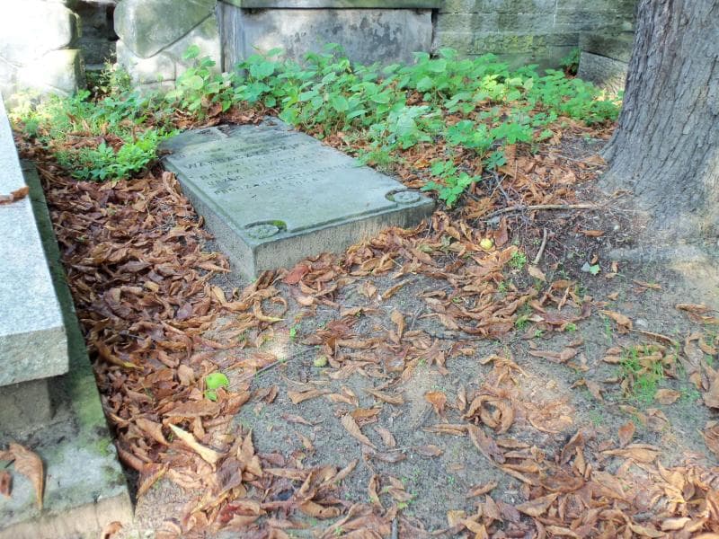 Zdjęcie grobu Teodor Wardaczyński (1)