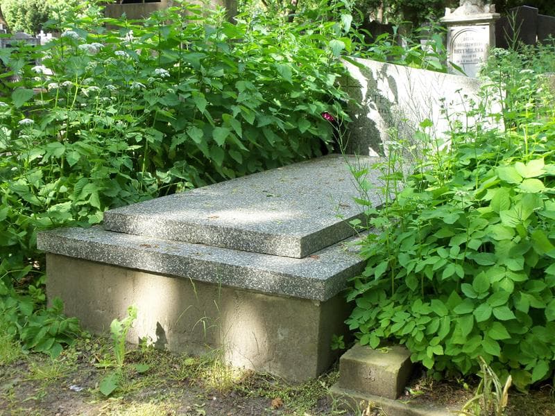 Zdjęcie grobu Anna Pawlińska (1)