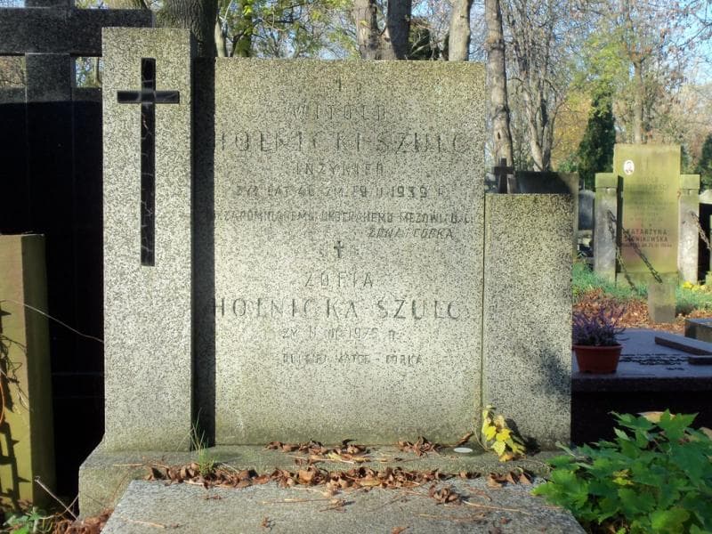 Zdjęcie grobu Witold Holnicki - Szulc (2)