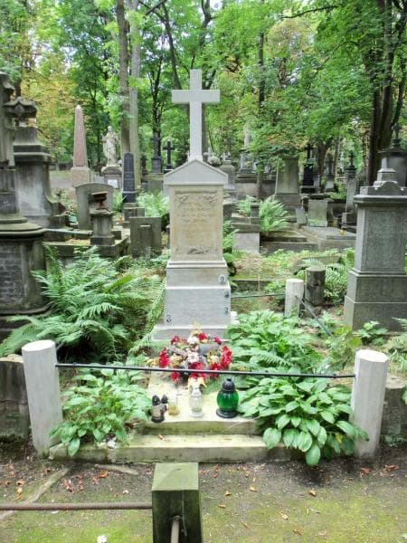 Zdjęcie grobu: Władysław Górski