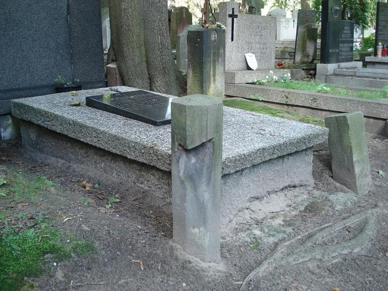 Zdjęcie grobu Witold De Nisau (1)