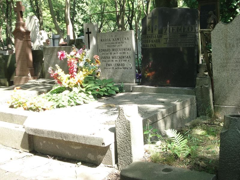 Zdjęcie grobu Emil Patryn (1)