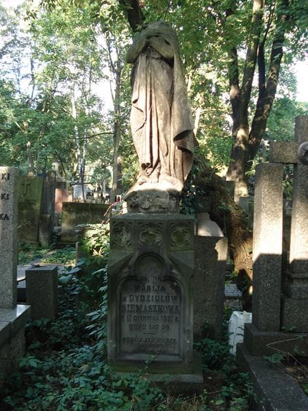 Zdjęcie grobu Marija Siemaszkowa (2)