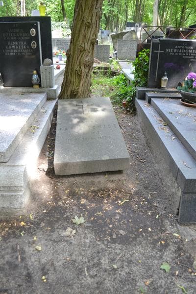 Zdjęcie grobu Roman Paszkiewicz (1)