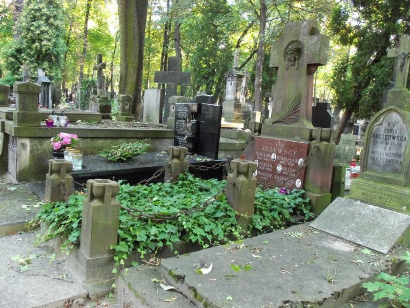 Zdjęcie grobu Wacław Jeżewski (1)
