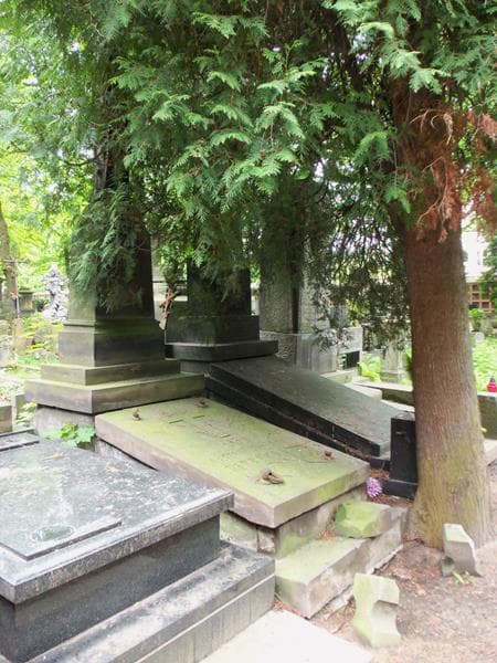 Zdjęcie grobu Lucjan Ostrowski (1)