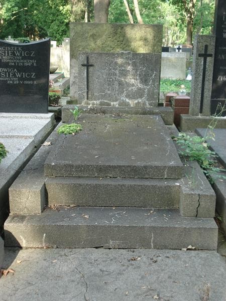 Zdjęcie grobu: Zofia Domaniewska