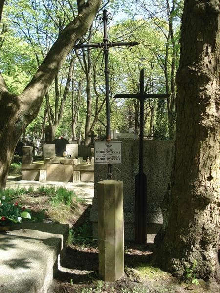 Zdjęcie grobu Wiktor Dobrowiecki (1)