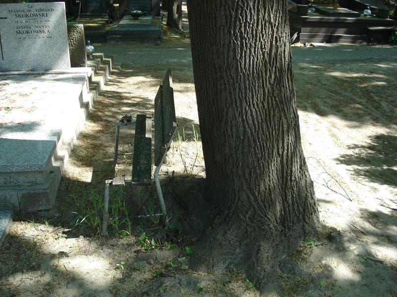 Zdjęcie grobu: Pole Grobowe
