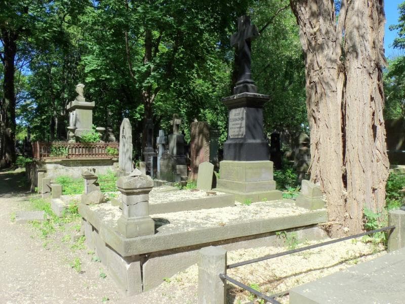 Zdjęcie grobu Wanda Czarnowska (1)