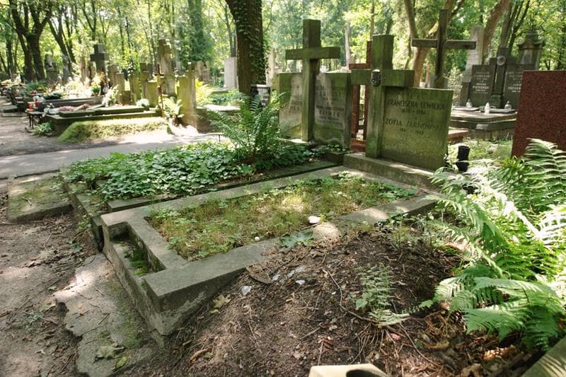 Zdjęcie grobu: Franciszek Tarnowski