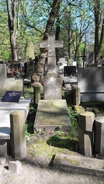 Zdjęcie grobu: Zofja Krzemieniewska