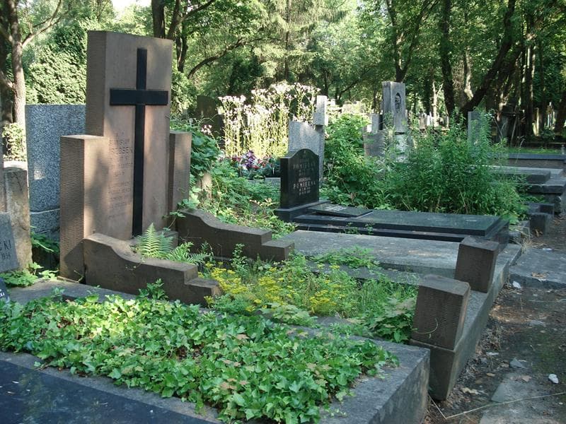 Zdjęcie grobu: Stanisław Wrzosek