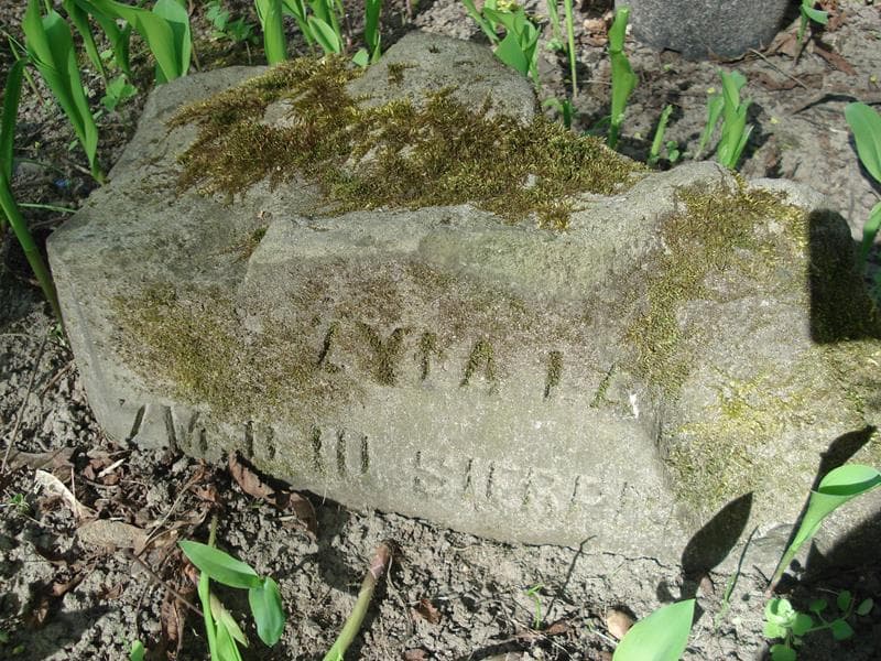 Zdjęcie grobu Anonim (1)