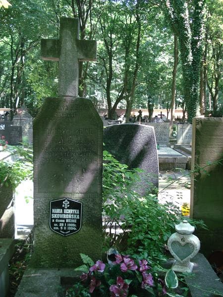 Zdjęcie grobu Frydrych Heine (1)