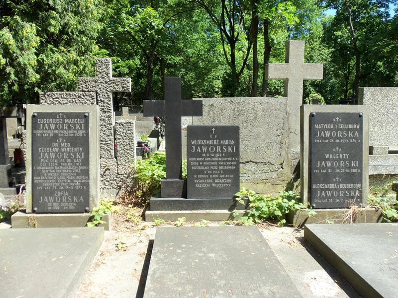 Zdjęcie grobu Aleksandra Jaworska (2)