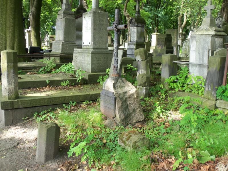 Zdjęcie grobu Jan Dziewulski (1)