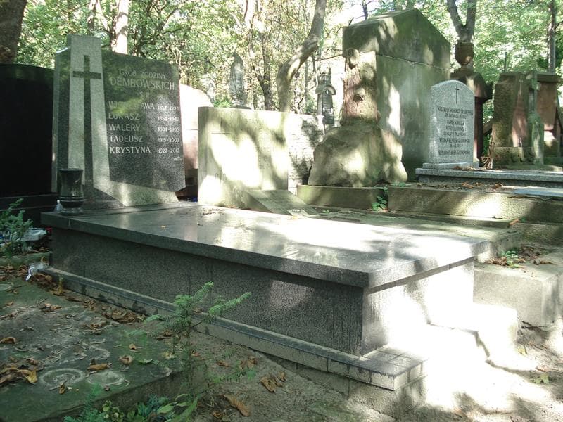 Zdjęcie grobu Walery Dembowski (1)