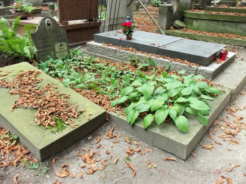 Zdjęcie grobu Marian Kwiatkowski (1)