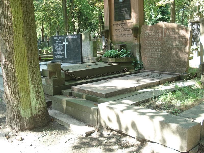 Zdjęcie grobu Wanda Chylińska (1)