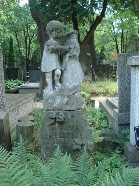 Zdjęcie grobu Szczepuś Charaziński (1)