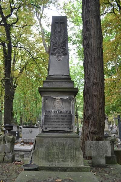 Zdjęcie grobu Bronisław Knaflewski (2)