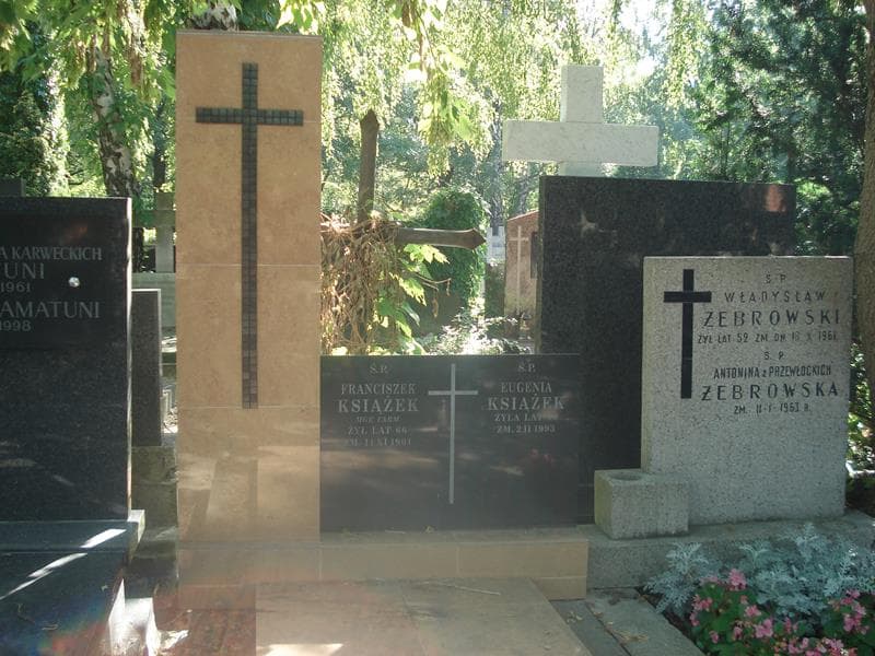 Zdjęcie grobu Franciszek Książek (2)