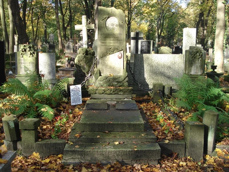 Zdjęcie grobu: Stanisław Trzciński