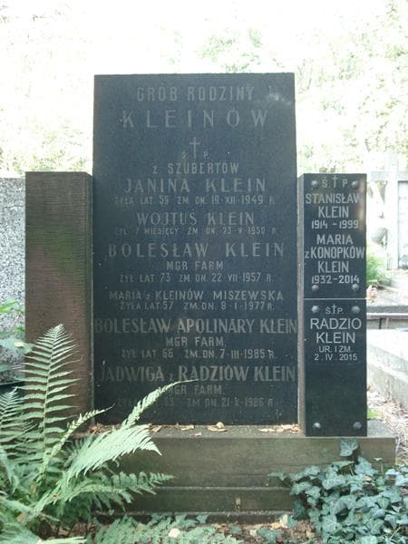 Zdjęcie grobu Maria Klein (2)