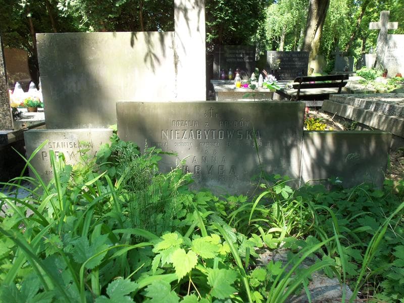 Zdjęcie grobu Rozalia Niezabytowska (2)