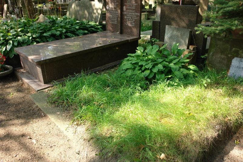 Zdjęcie grobu Feliks Bednarski (1)