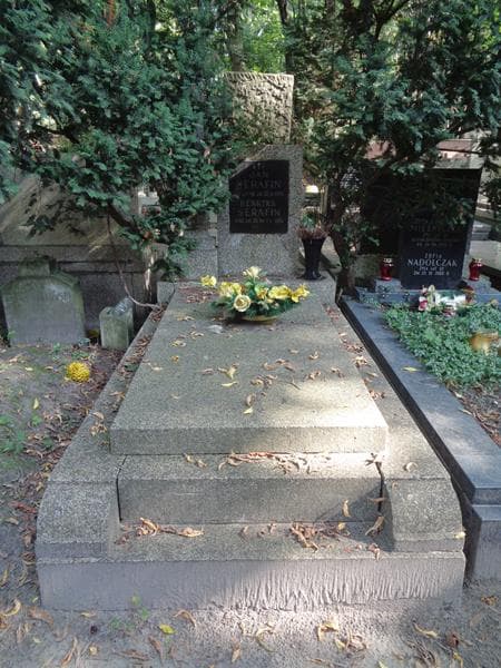 Zdjęcie grobu Jan Serafin (1)