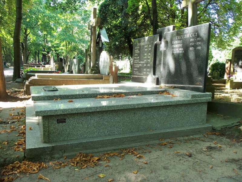Zdjęcie grobu Karol Trzebiecki (1)
