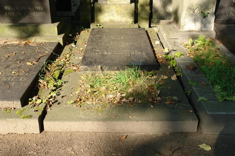 Zdjęcie grobu: Feliks Nurzyński