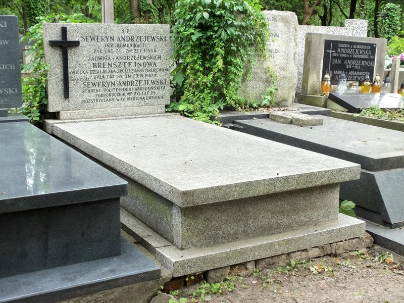 Zdjęcie grobu Jadwiga Brensztejnowa (1)