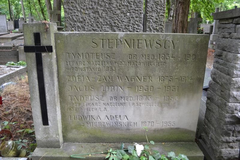 Zdjęcie grobu Janina Wanda Stępniewska (2)
