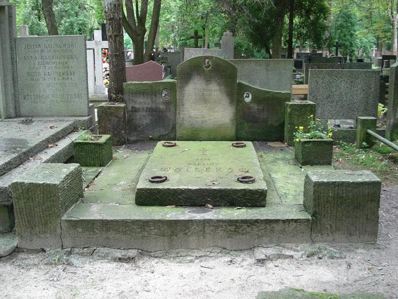 Zdjęcie grobu: Stanisław Król