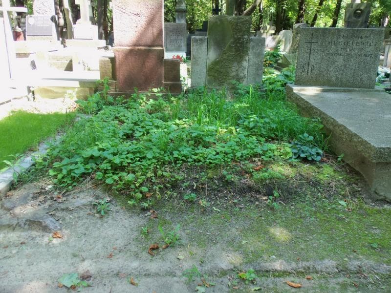 Zdjęcie grobu: Pole Grobowe