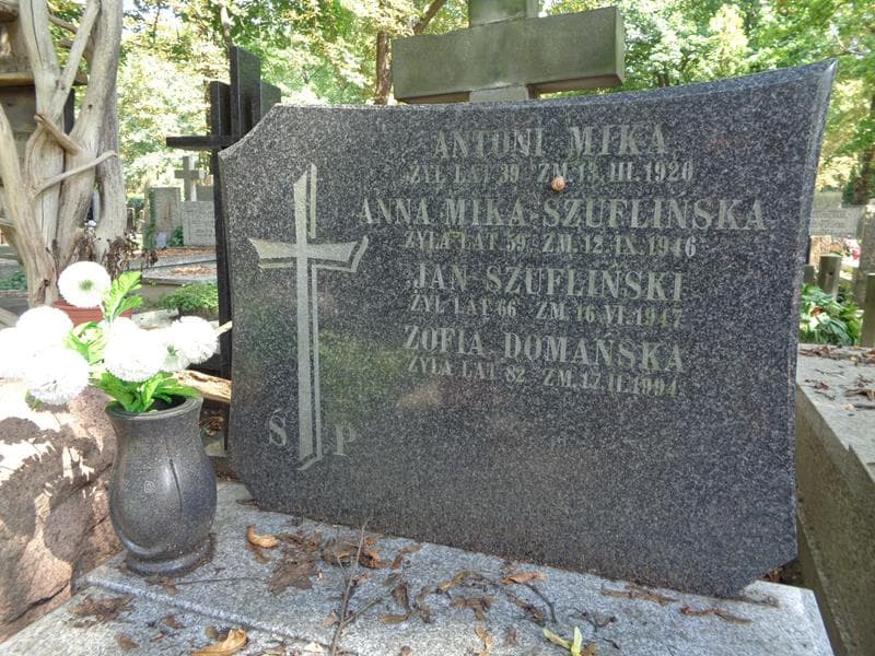 Zdjęcie grobu Zofia Domańska (2)